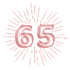 Number 65, rose gold, customizable