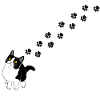 Cat paws