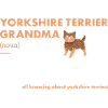 Yorkshire Terrier Grandma Definition