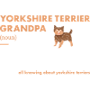 Yorkshire Terrier Grandpa Definition