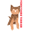 Yorkshire Terrier Us Flag