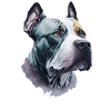 Pitbull Terrier Art Dog Lover