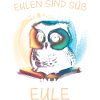 Nachteule Eule Eulen Vogel