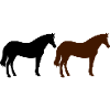 horses