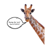 Giraffe mit ansteckendem Lächeln