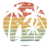 Retro surfing