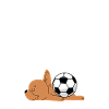 Ballon Dort-humour