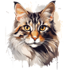 The Mysterious Cat