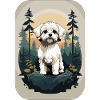 Bichon Havanais Hund i Skogen