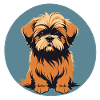 Lhasa apso Hundeporträt Bild