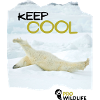 KEEP COOL Eisbär