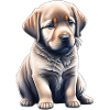 Cute Labrador puppy