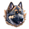 German Shepherd Puppy