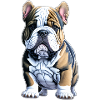 Mignon chiot bouledogue