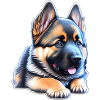 Cute German Shepherd Puppy