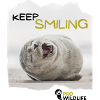 KEEP SMILING Robbe