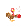 Bowling Player Turkey