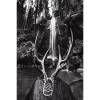 Ritual
