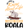 Koala Gift Koala Bear