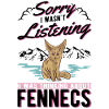 Fennek Cadeau Désert Renard Fennec