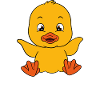 Funny ducks Cute duck