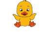 Funny ducks Cute duck