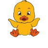 Funny ducks Cute duck
