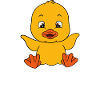Funny ducks Cute duck