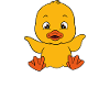 Funny ducks Cute duck
