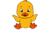Funny ducks Cute duck
