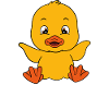 Funny ducks Cute duck