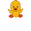 Funny ducks Cute duck