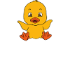 Funny ducks Cute duck