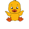 Funny ducks Cute duck