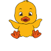 Funny ducks Cute duck
