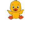 Funny ducks Cute duck