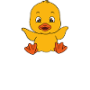 Funny ducks Cute duck