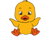 Funny ducks Cute duck