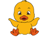Funny ducks Cute duck