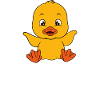 Funny ducks Cute duck