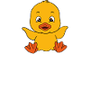 Funny ducks Cute duck