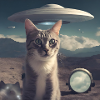 Katze UFO