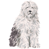Old English Sheepdog Sheepie Bobtail