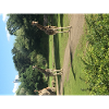 giraffe, nature