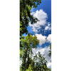 Landscape, Sky