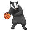 Badger Basketball Player Basketball