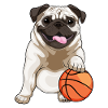 Pug Basketball Player Basketball