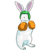 Lapin Boxer Gants de boxe Boxe