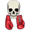 Totenkopf Boxer Boxhandschuhe Boxen