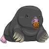 Mole Baby Pacifier